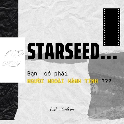 Starseed là gì? Bạn có phải “Người ngoài hành tinh”???