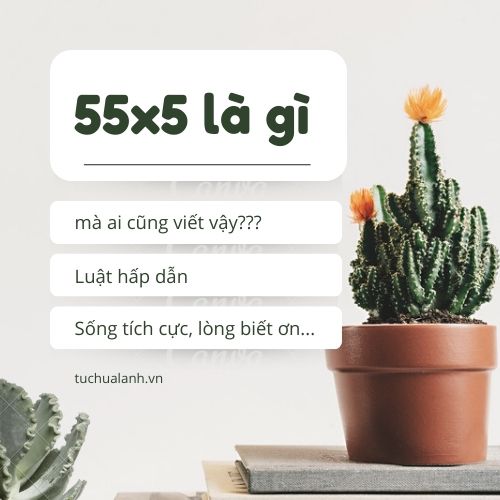 Sử dụng phương pháp 55×5 để thu hút cuộc sống mong muốn